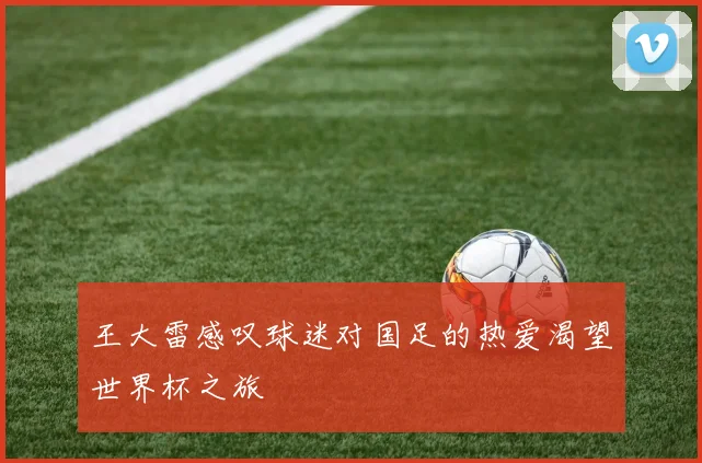 王大雷感叹球迷对国足的热爱渴望世界杯之旅